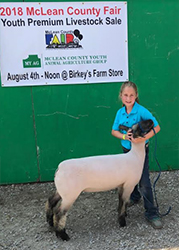 Harms Show Lambs Winners