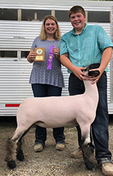 Harms Show Lambs Winners