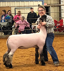 Harms Show Lambs Winners