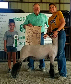 Harms Show Lambs Winners