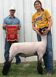 Harms Show Lambs Winners
