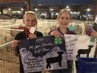 Harms Show Lambs Winners